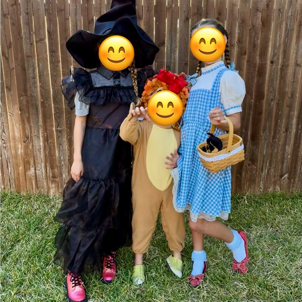 Cozy Lion Costume for Kids 3T for 3-4 years